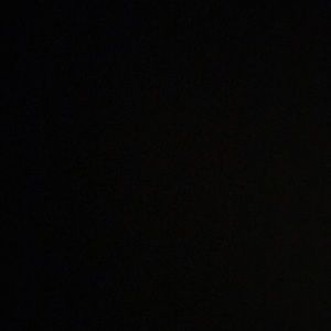 Meet your Posher, Ginger